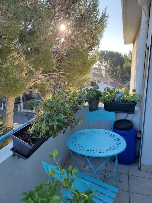 Lou Beach Home 75 M2 A 300 M De La Plage Avec Vue Mer Λα Σιοτά Εξωτερικό φωτογραφία